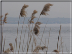 foto Lago di Garda